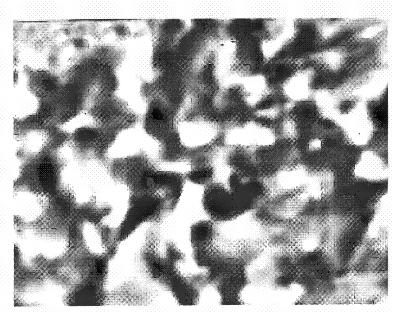 Preparation method of nano-diamond friction coat by laser coating