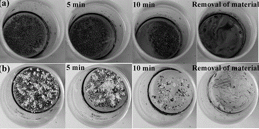 Adsorbent for removing petroleum pollutants in environmental water samples and preparation method thereof