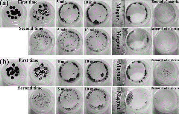 Adsorbent for removing petroleum pollutants in environmental water samples and preparation method thereof