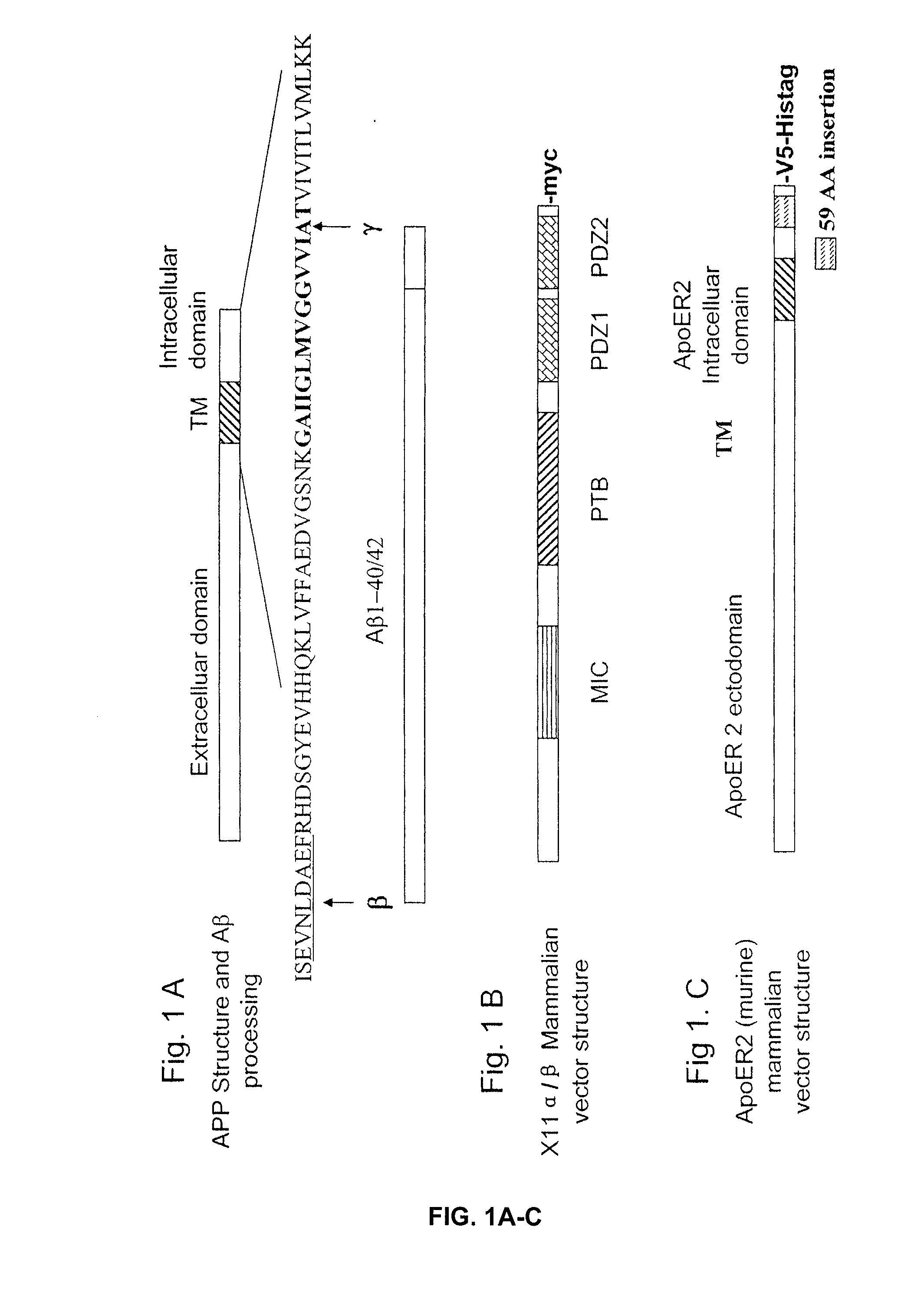 Treatment of alzheimer's disease with inhibitors of apoe binding to apoe receptor