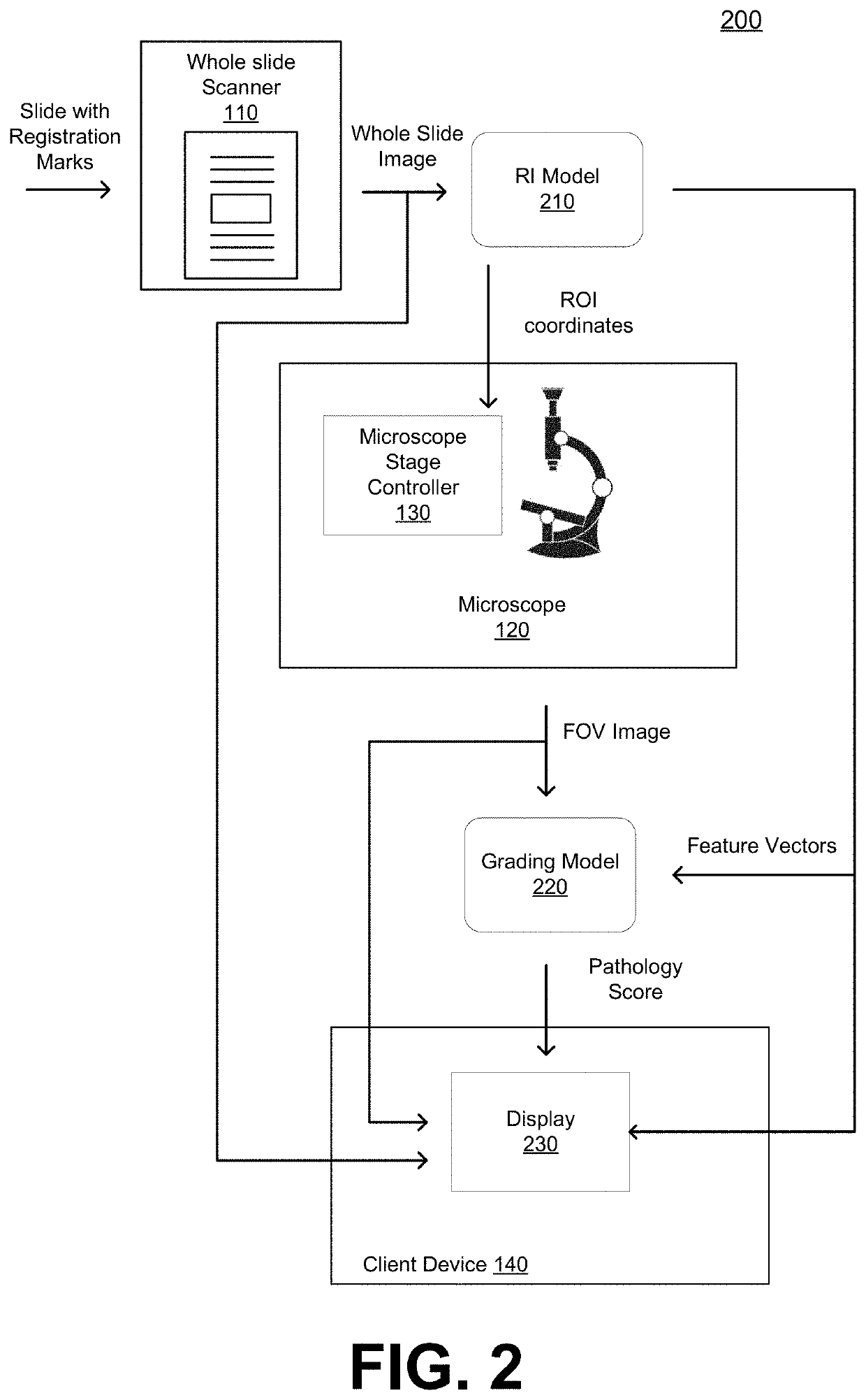 Systems and Methods for Digital Pathology