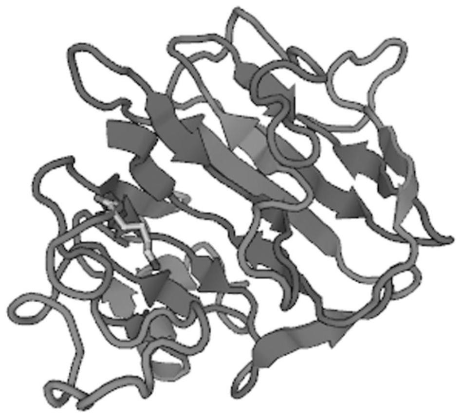 An endo-type bifunctional alginate lyase aly2 producing multiple monosaccharide products, its encoding gene and application