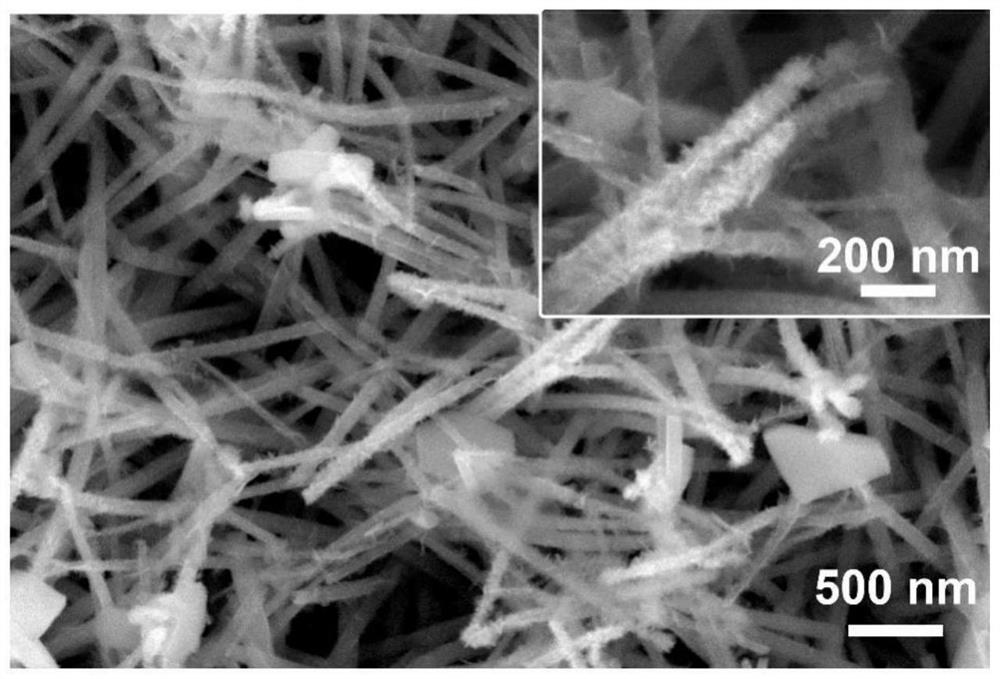 Universal electrochemical modification preparation method for effectively enhancing electricity storage performance of various transition metal oxides