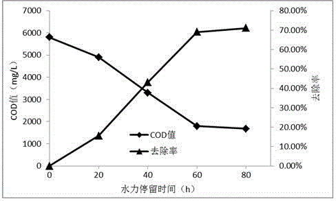 Treatment process for degradation of high-concentration organic matter and reduction of total nitrogen in printing and dyeing wastewater