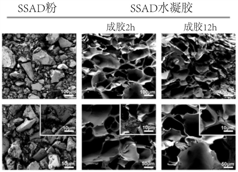 Medical water-based adhesive and using method thereof