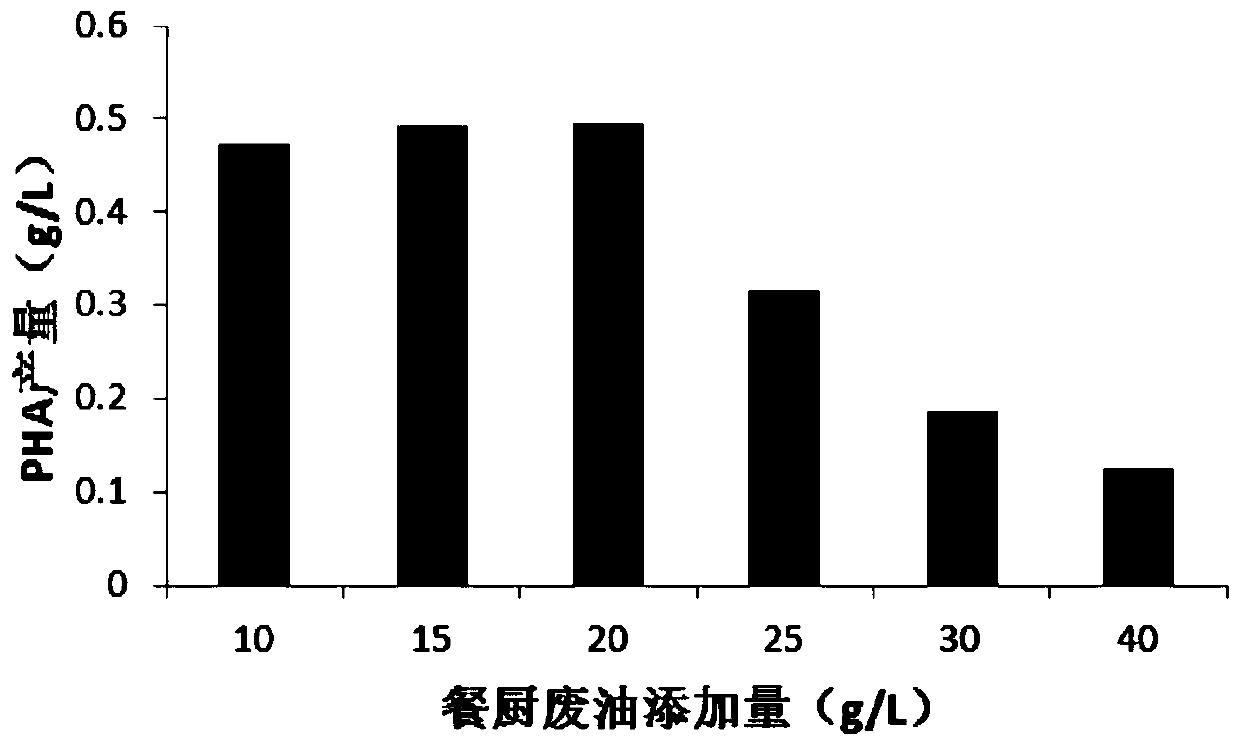 Pseudomonas putida WP07, preparation method and purpose