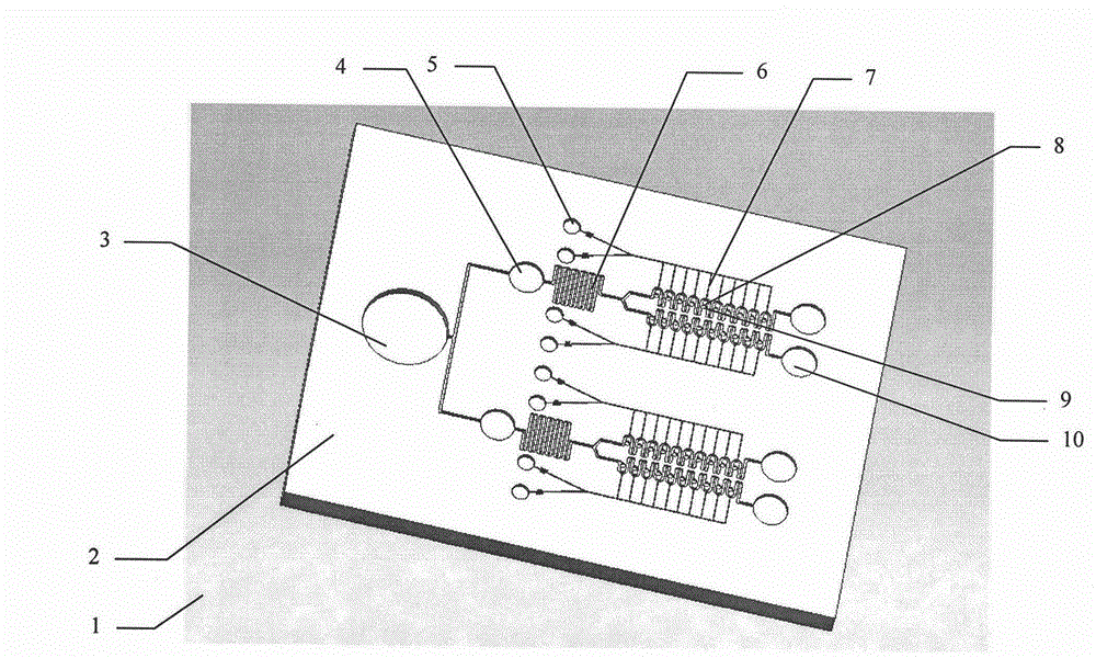 High-flux drug screening microfluidic chip