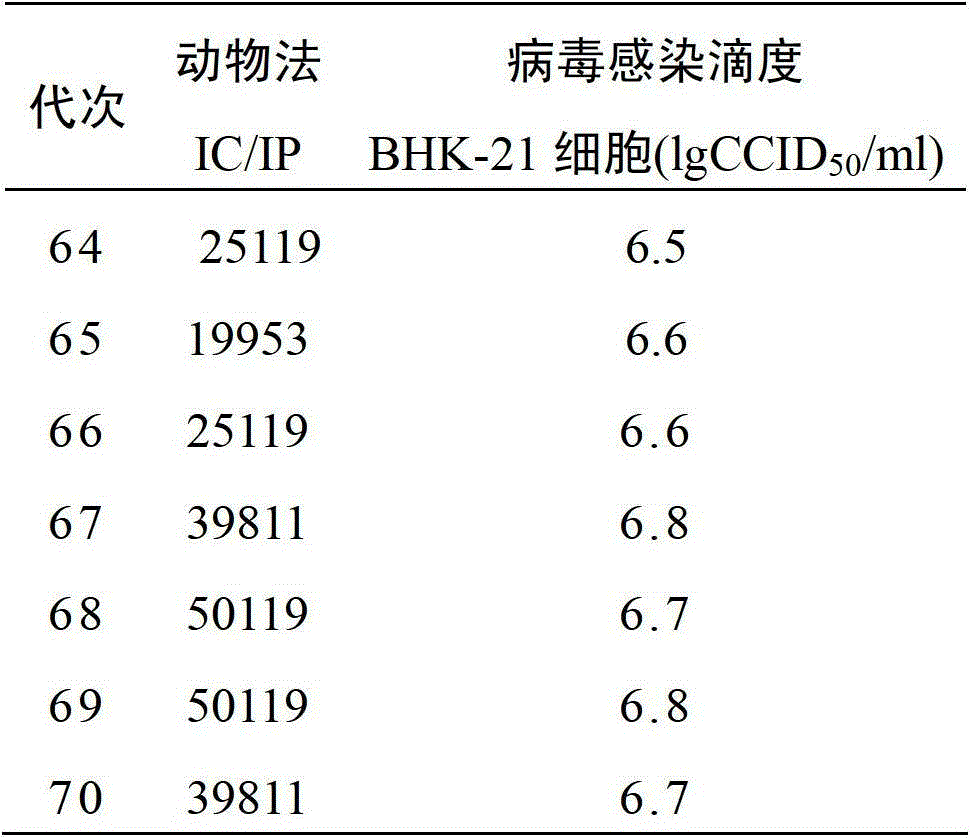 Preparation method for human diploid cell rabies vaccine virus solution