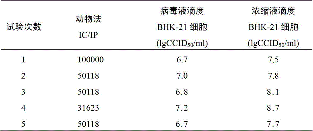 Preparation method for human diploid cell rabies vaccine virus solution