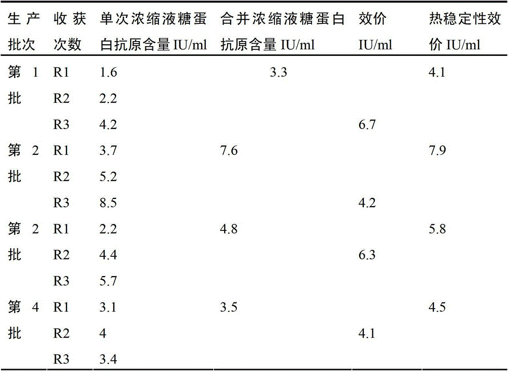 Preparation method for human diploid cell rabies vaccine virus solution