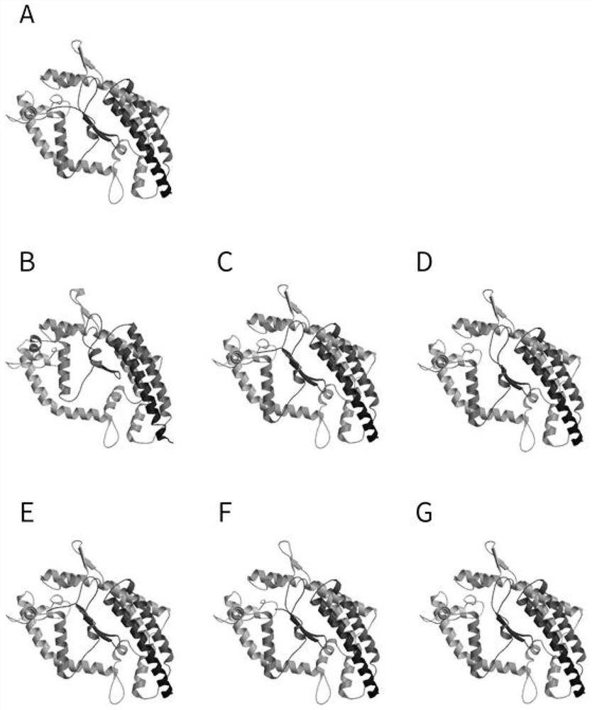 Armed chimeric antigen receptor cell targeting coronavirus SPIKE, preparation methods and applications