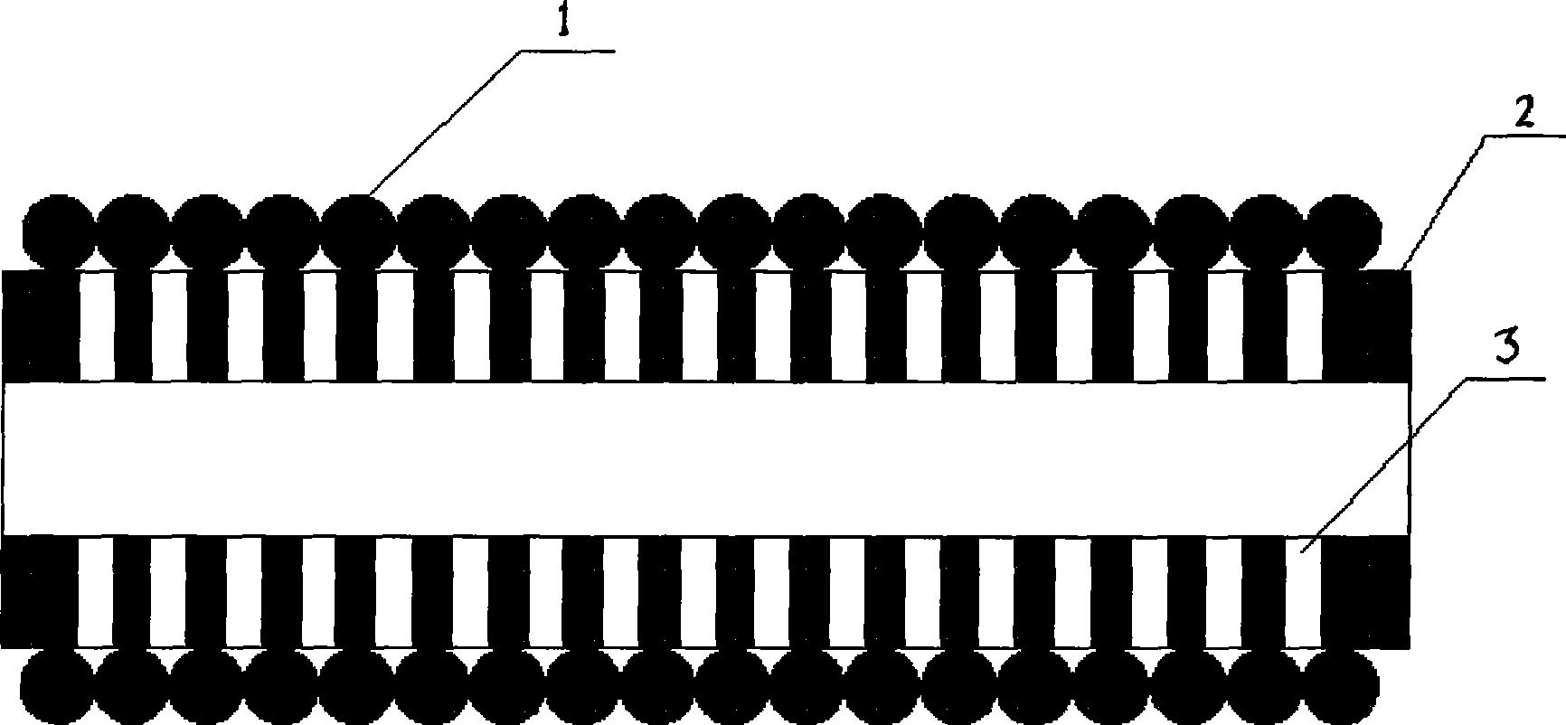 Membrane module of filter