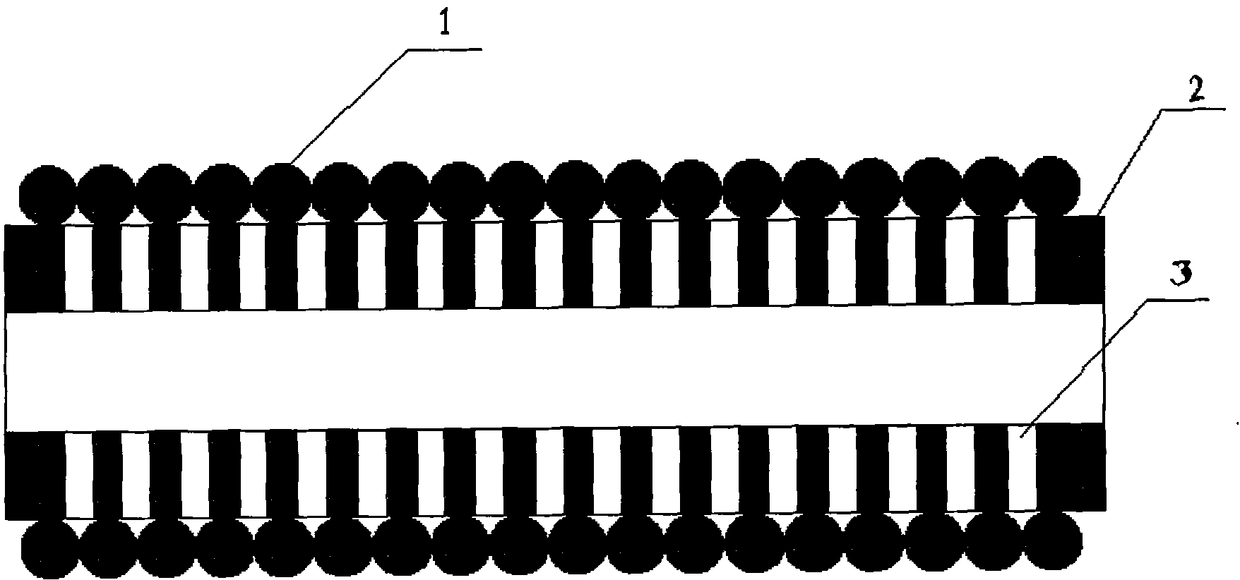 Membrane module of filter