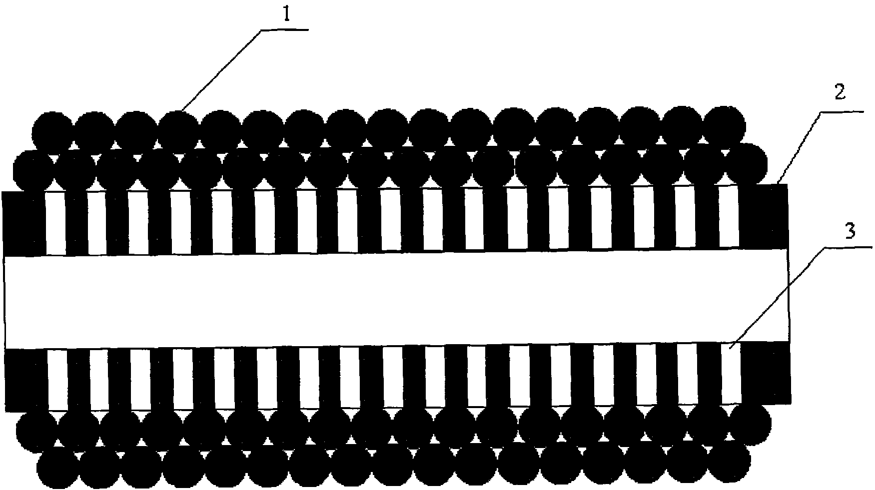 Membrane module of filter