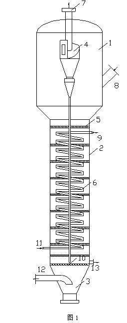 Fluidized bed reactor