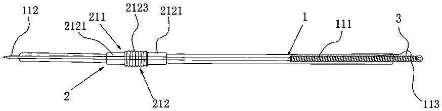 Auxiliary elongated needle assembly and acupuncture method thereof