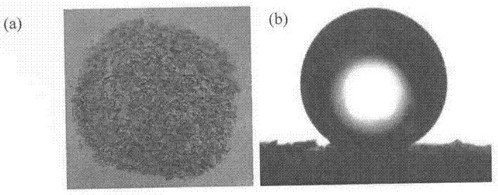 Preparation method and application of bio-based oil solidifying material