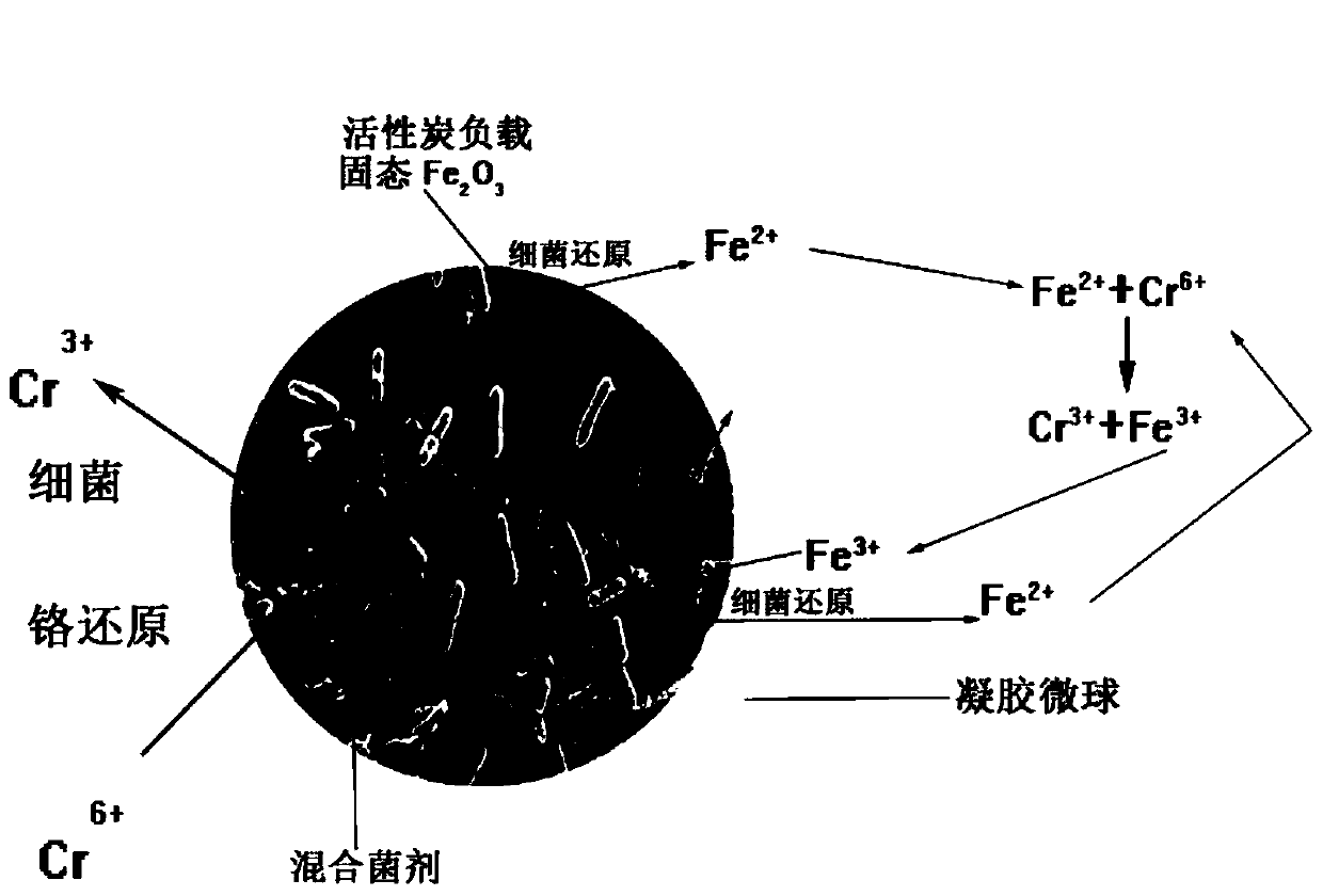 Method for reducing and adsorbing heavy metal chromium by immobilized microorganisms