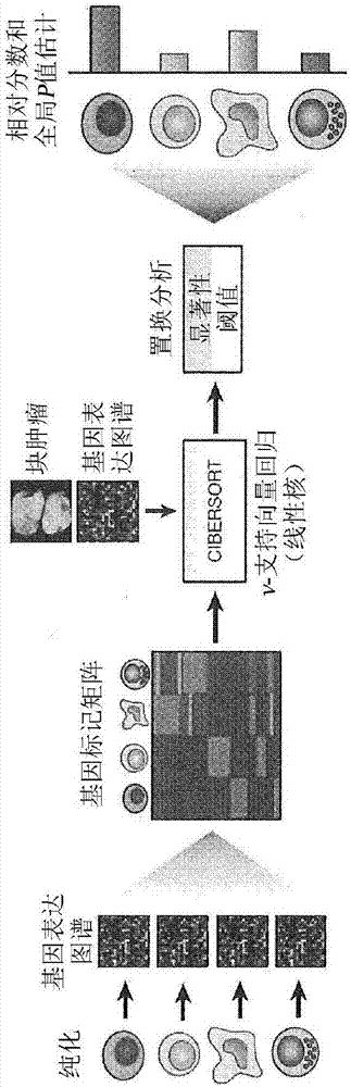 Methods and systems for determining proportions of distinct cell subsets