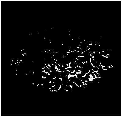 Synthetic method of silver nanowire