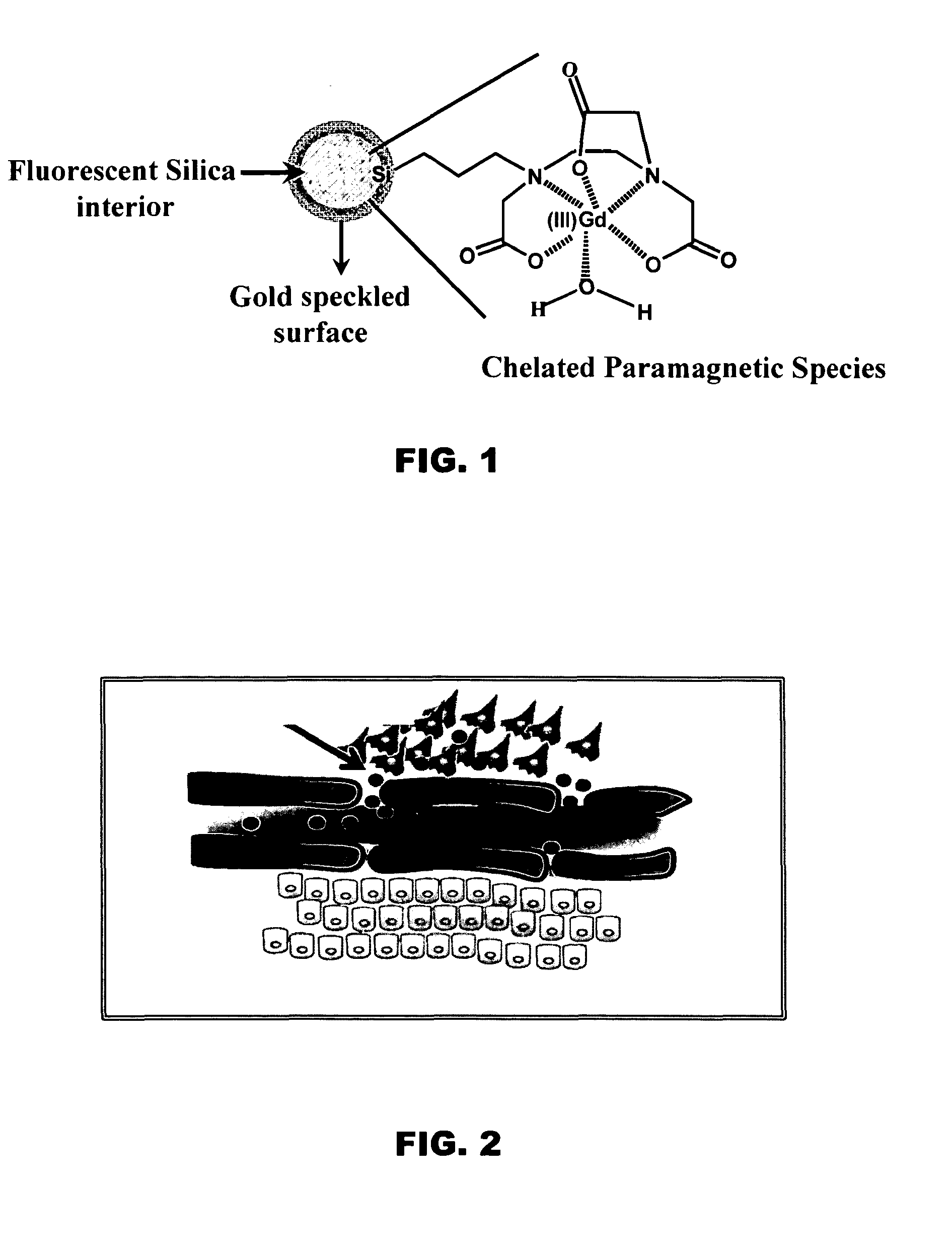 Multimodal nanoparticles for non-invasive bio-imaging