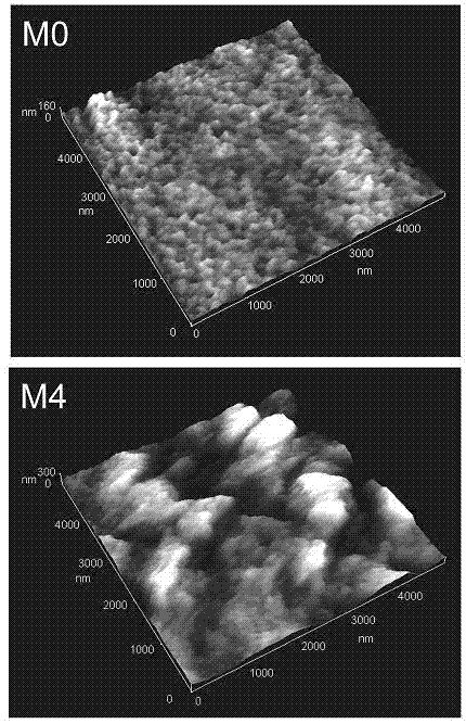 Preparation method of hydrophilic polyvinylidene fluoride (PVDF) hybrid membrane