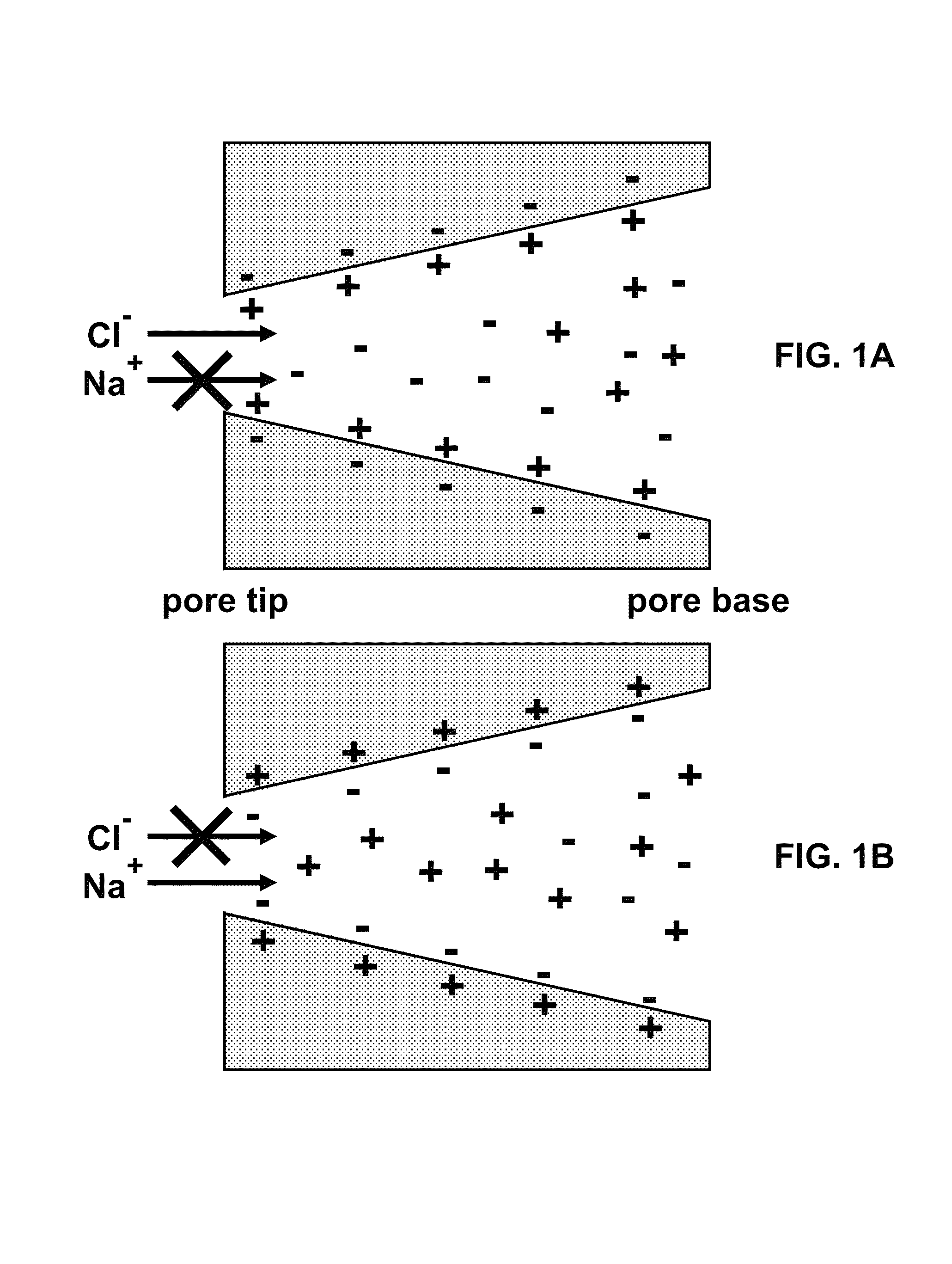 Method to fabricate functionalized conical nanopores