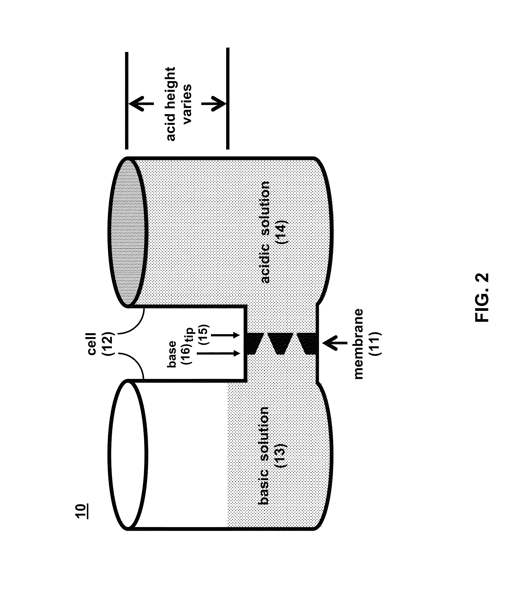 Method to fabricate functionalized conical nanopores