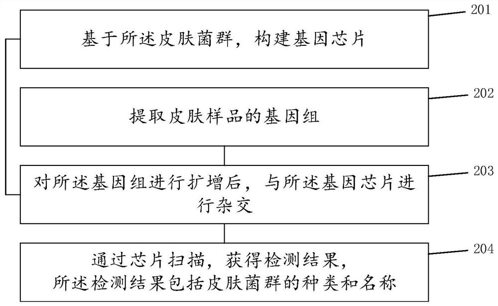 Method and system for skin care recommendation based on skin flora