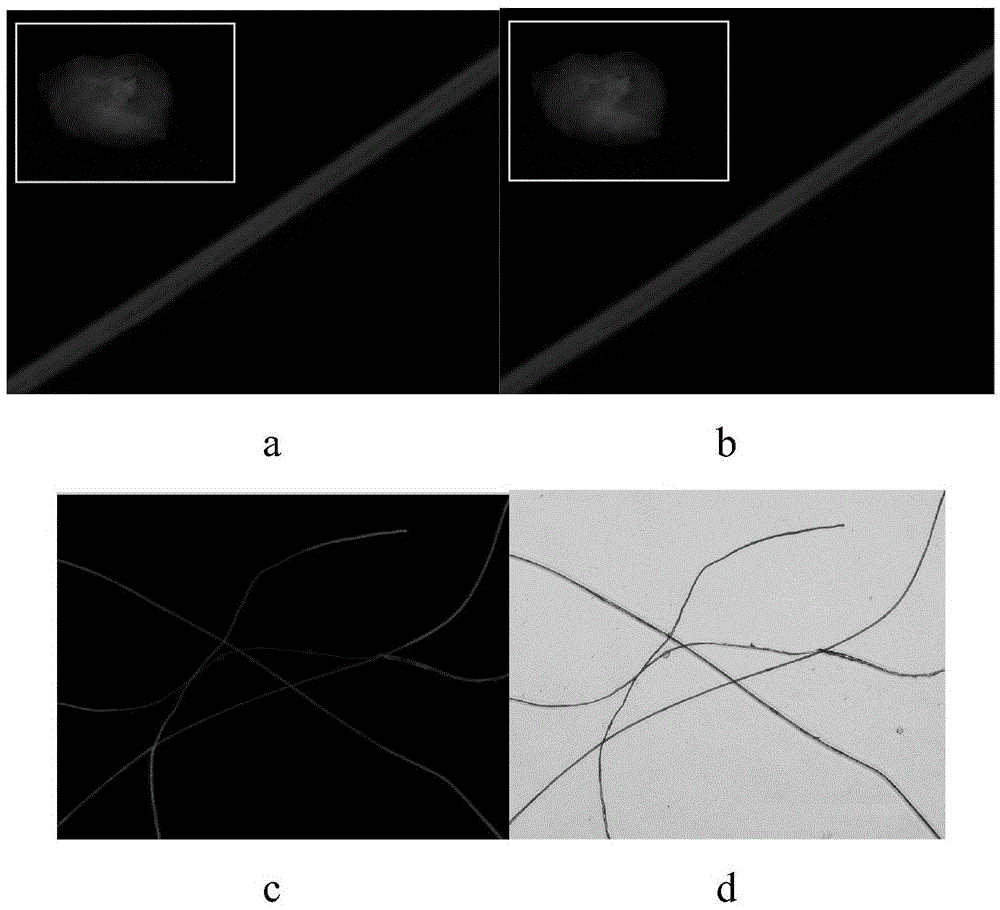 Method for preparing fluorescence silk fibers from small soluble organic molecule