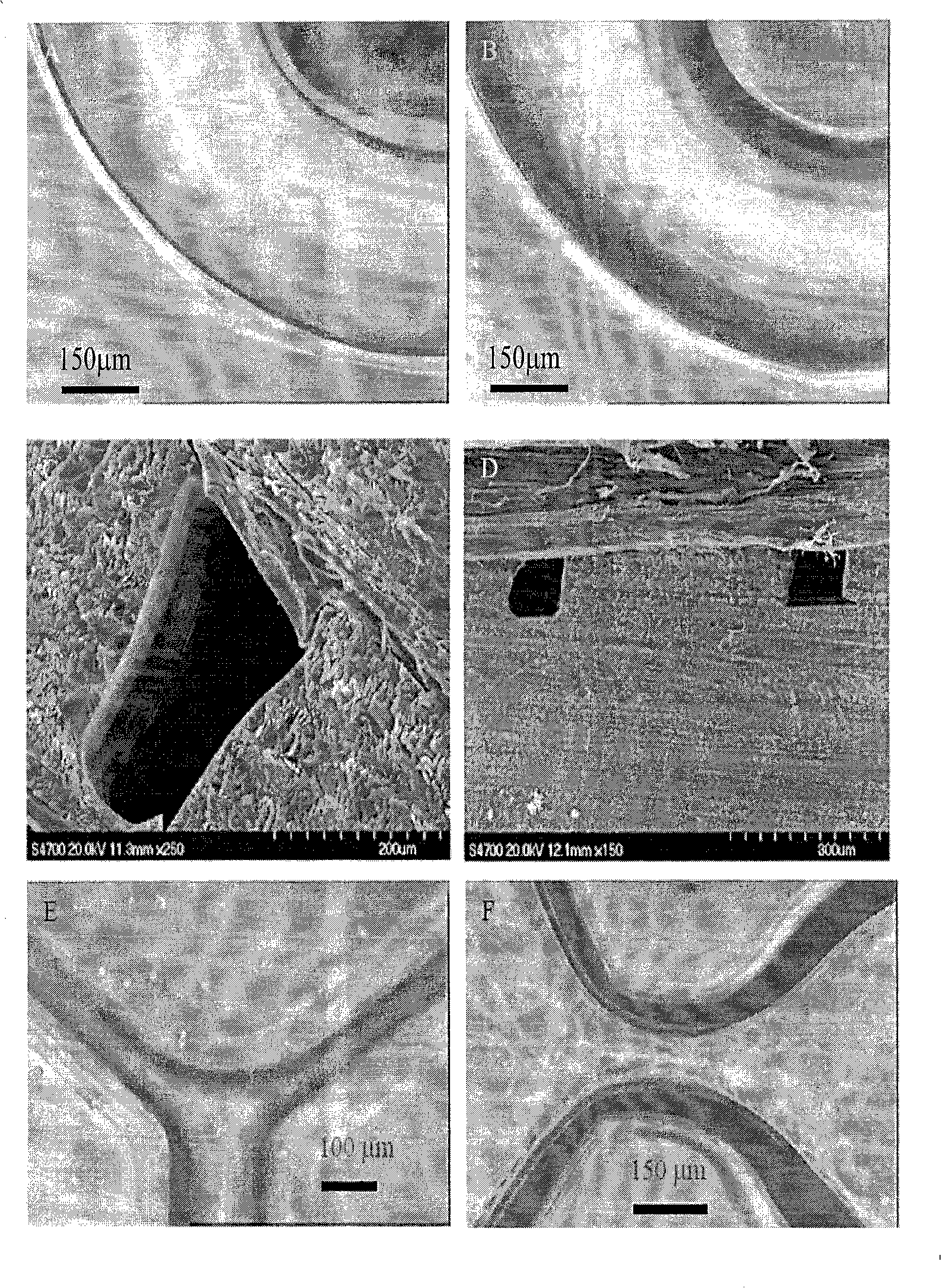 Novel polymer based microfluid reactor suitable for photochemistry reaction and preparation method thereof