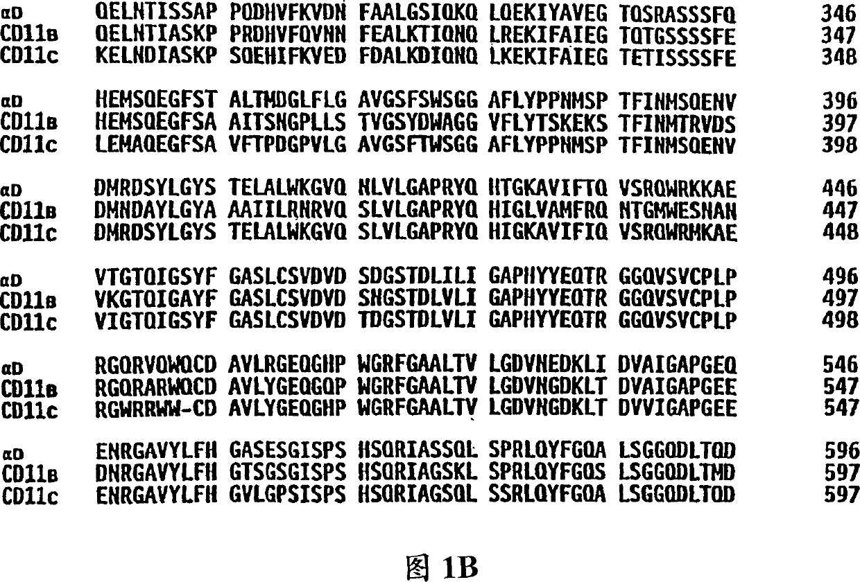 Method for inhibiting macrophage infiltration using monoconal anti-alpha-D-antibodies