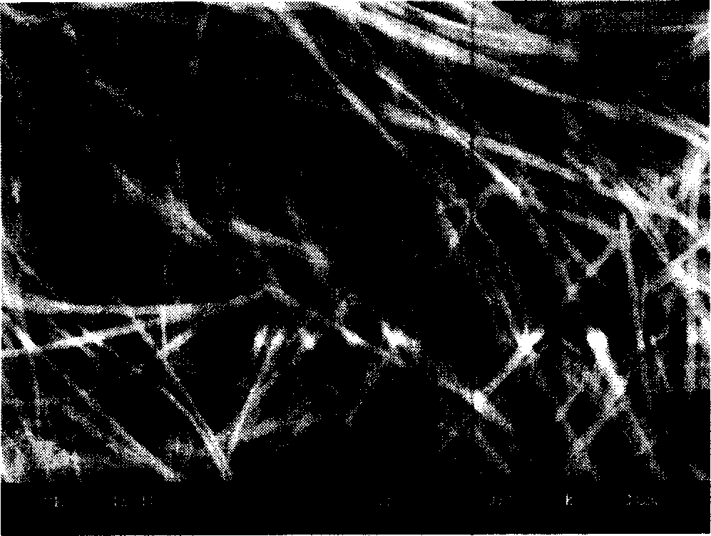 Method for preparation of unidimensional monocrystal titanium dioxide nano material