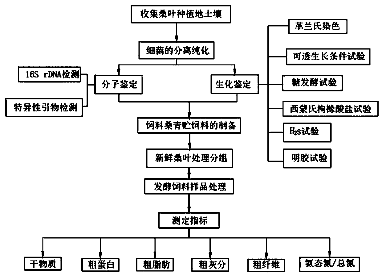 Bacillus licheniformis, screening method, application and feed containing bacillus licheniformis