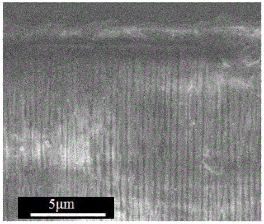 Composite nano-metal materials and methods prepared by combining with ordered porous supports or rough surfaces