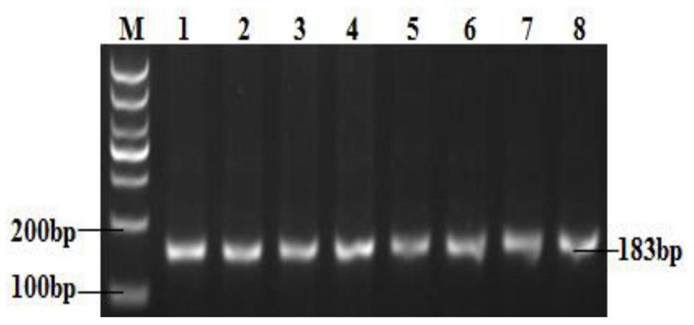 A Breeding Method for Analyzing Polygene Aggregation Effects of Improving Lamb Size in Goats