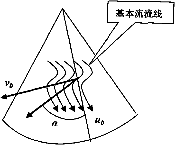 Doppler image information-based visual description method of heart flow field velocity vector field