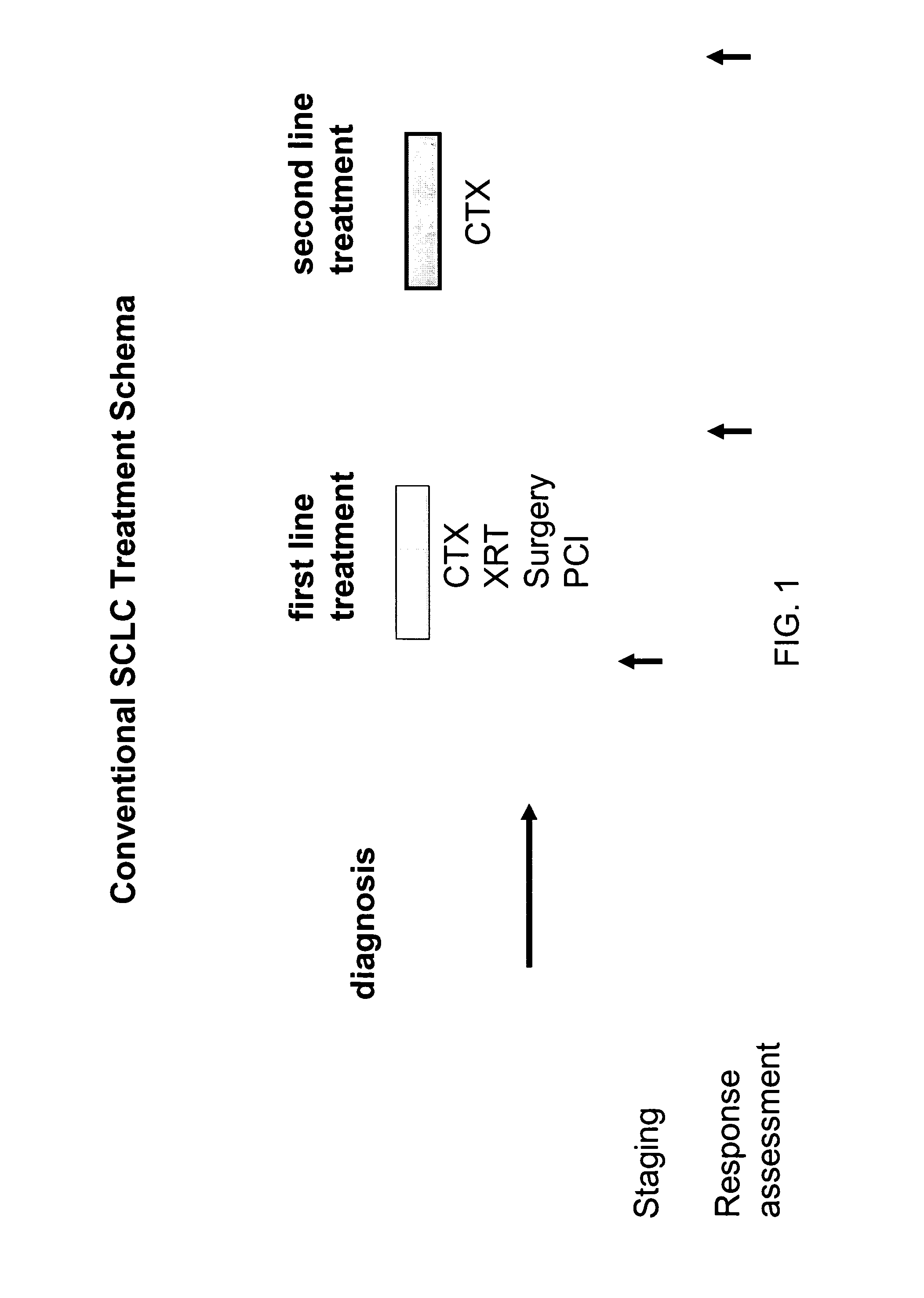 P53 vaccines for the treatment of cancers