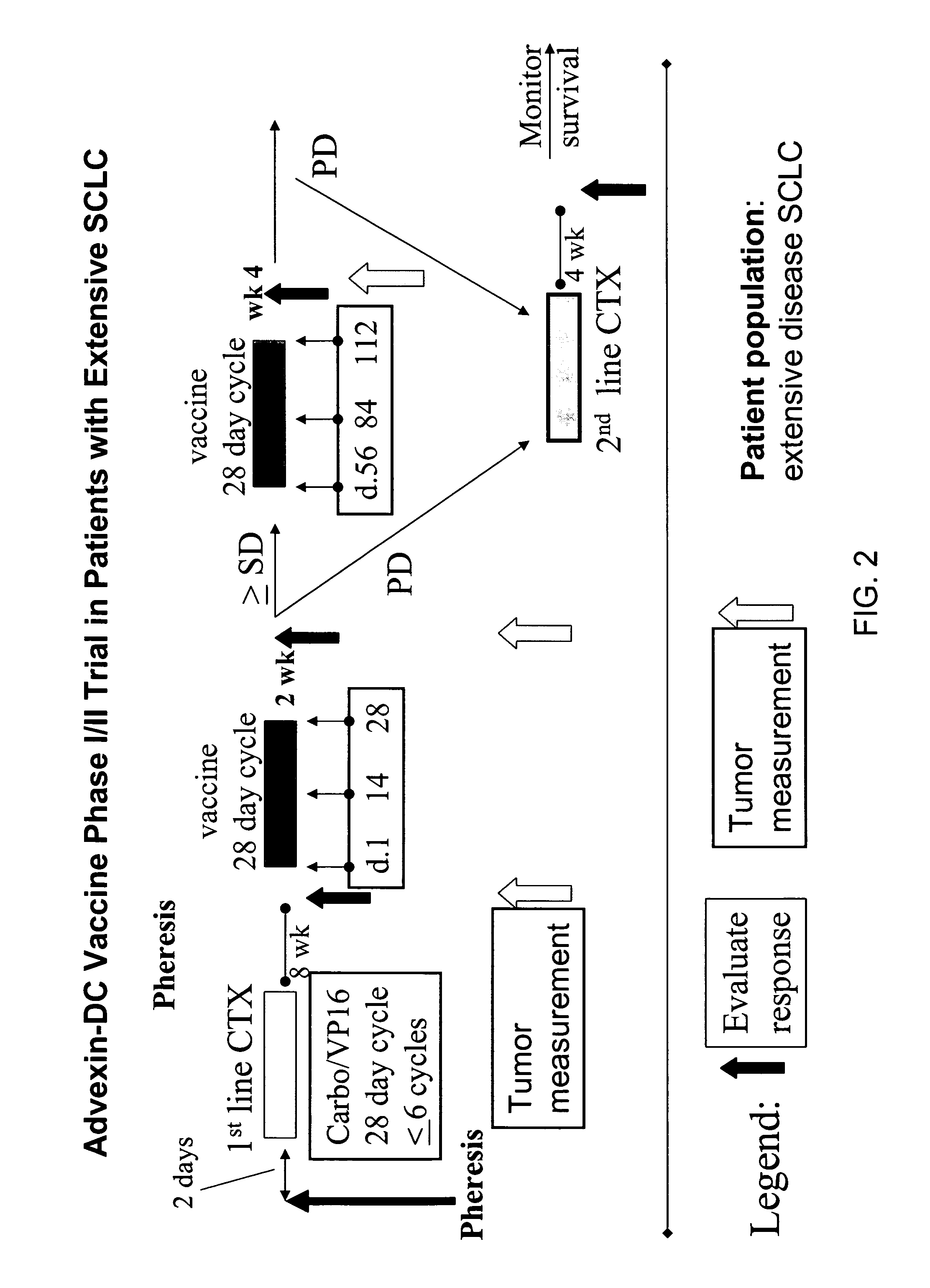 P53 vaccines for the treatment of cancers