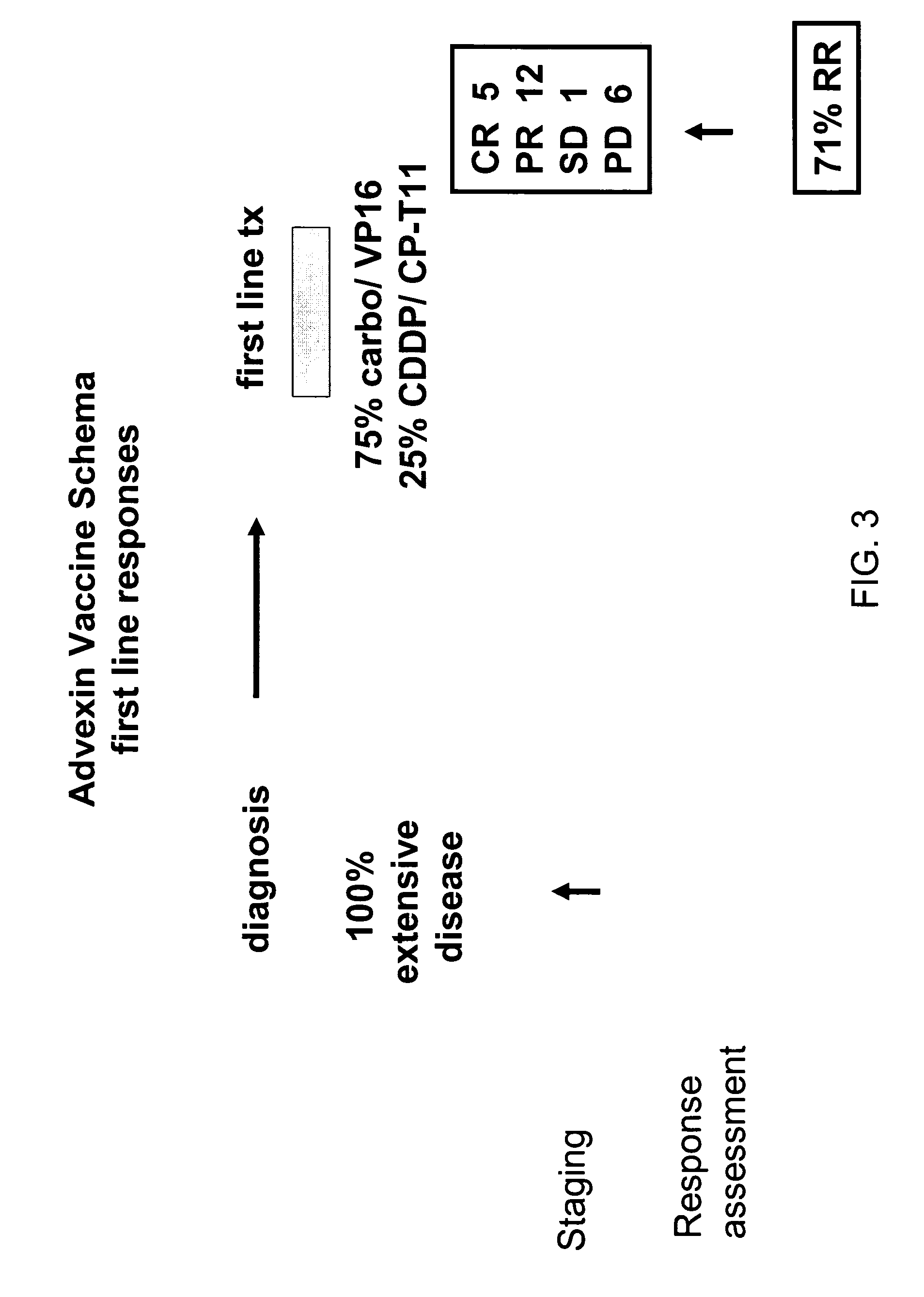 P53 vaccines for the treatment of cancers