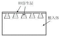 Method for Improving the Bonding Strength of Medical Biological Coating on the Surface of Medical Magnesium Alloy