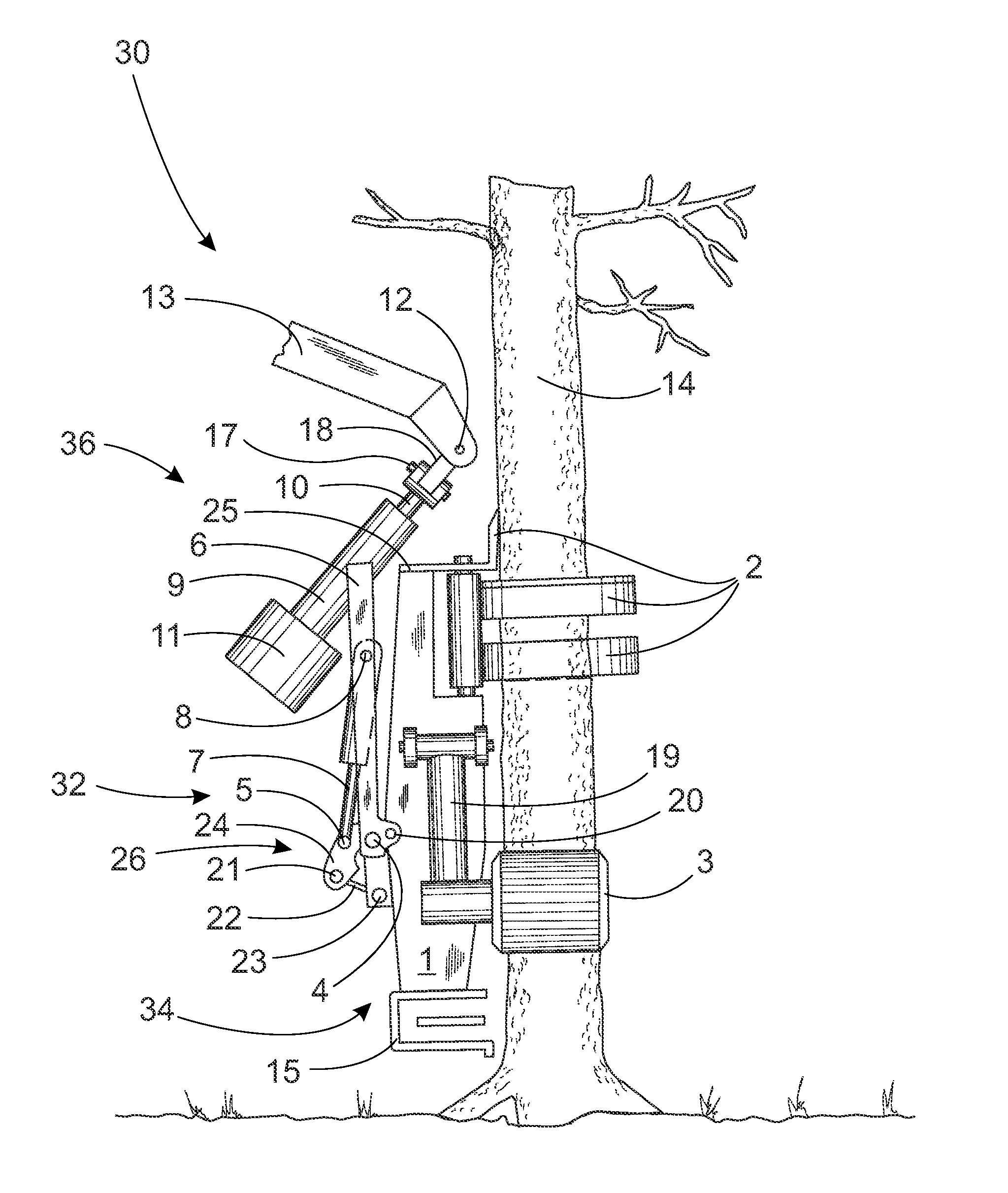 Multi-process machine