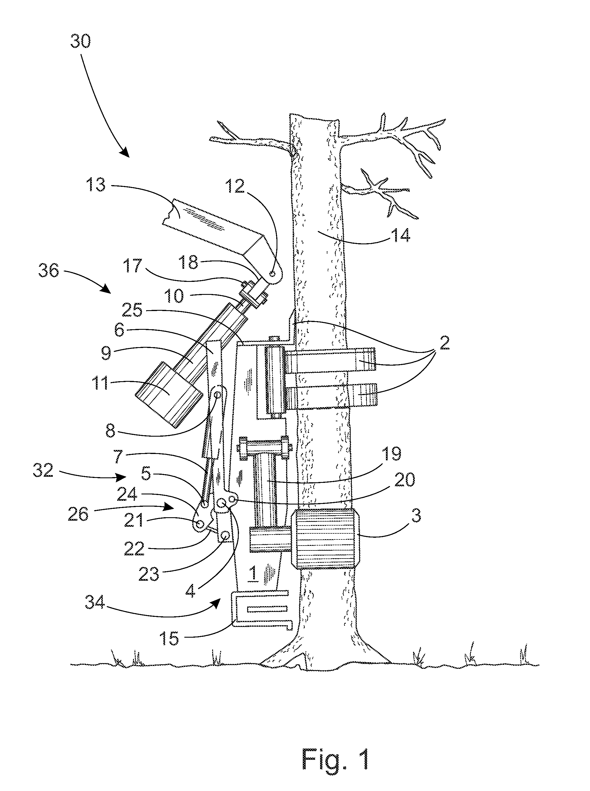 Multi-process machine