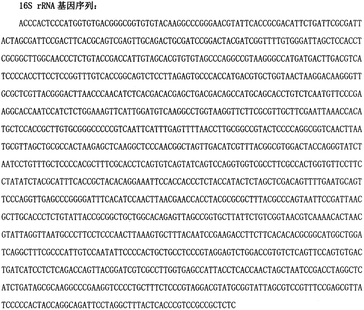 Root knot nematode disease prevention pseudomonas strain Jdn1 and microbial agent thereof