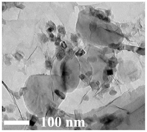 Two-dimensional composite photocatalyst namely h-BN/Ti3C2/TiO2, and preparation method and application thereof