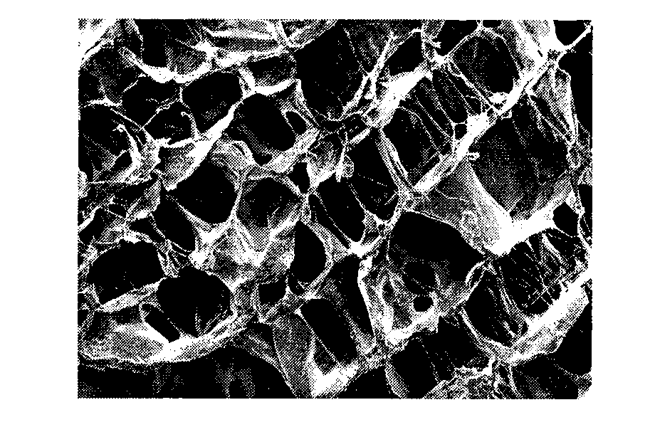 Cartilage derived collagen sponge scaffold and preparation method thereof