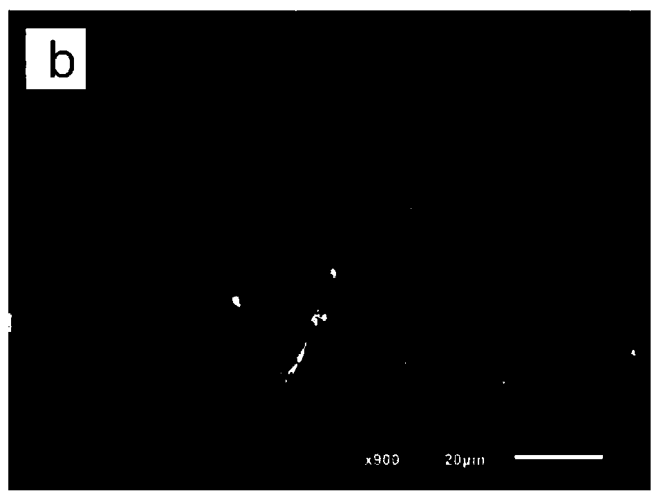 Structure of network-shaped lightweight metal zinc electrode and preparation method thereof