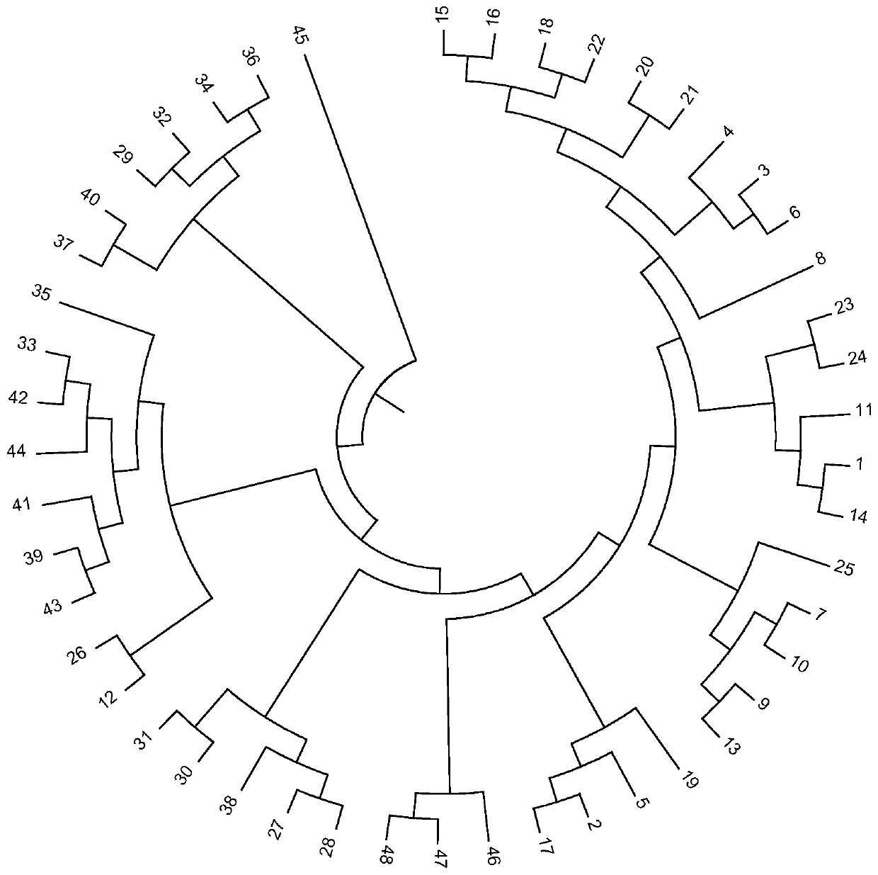 A high-throughput method for SSR molecular markers related to plant organ development