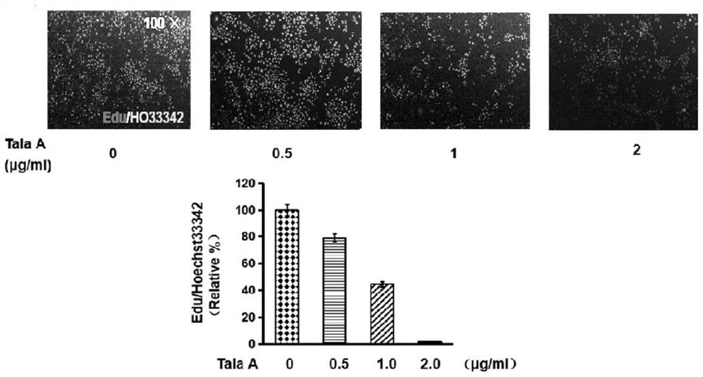 Application of talaroconvolutin A in anticancer drugs