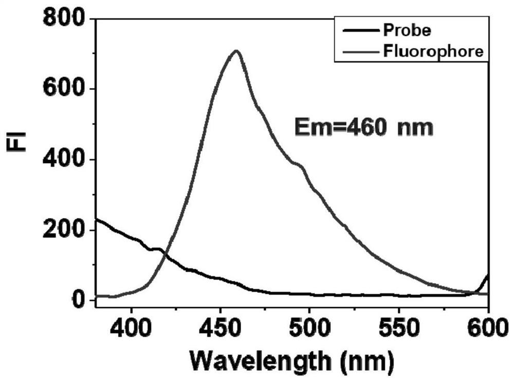 Fluorescent probe for detecting butyrylcholinesterase and its application